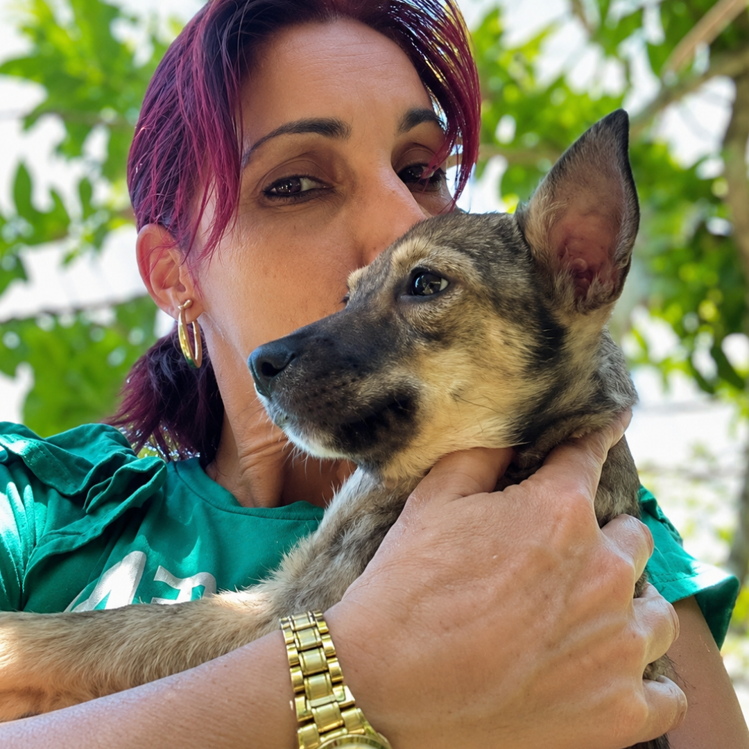 Indignación en Mayabeque: Mipyme rechaza billetes de 20 pesos a protectora que buscaba comida para más de 60 animales